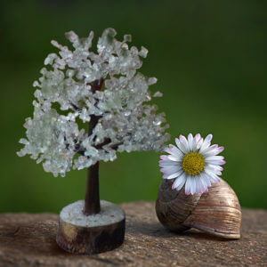 Clear Quartz Tree