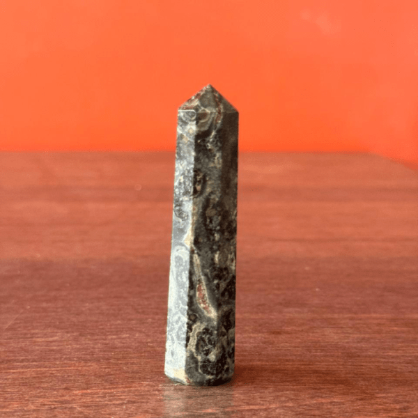 Kambaba Jasper