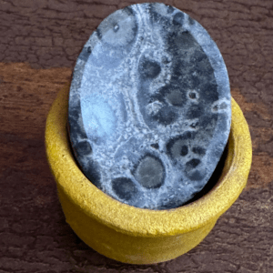 Kambaba Jasper