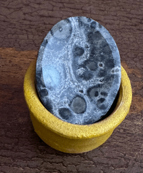 Kambaba Jasper