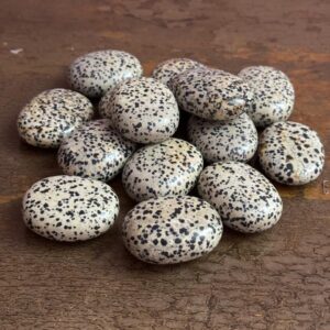 Dalmation Jasper