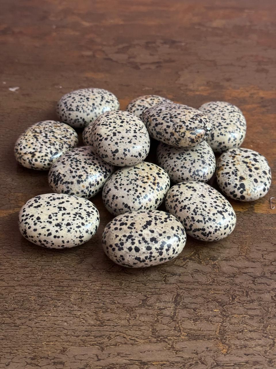 Dalmation Jasper (2)