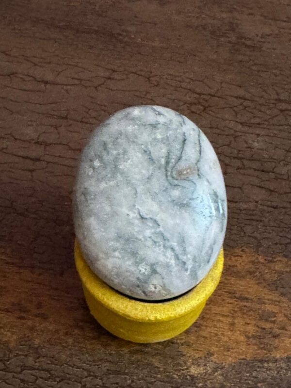 Tree Agate