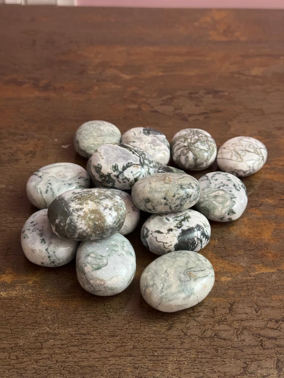 Tree Agate