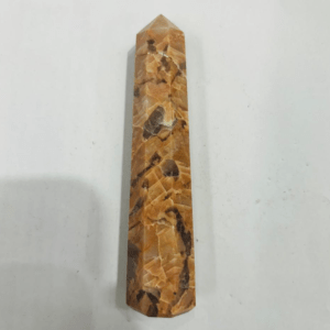 Leopard Skin